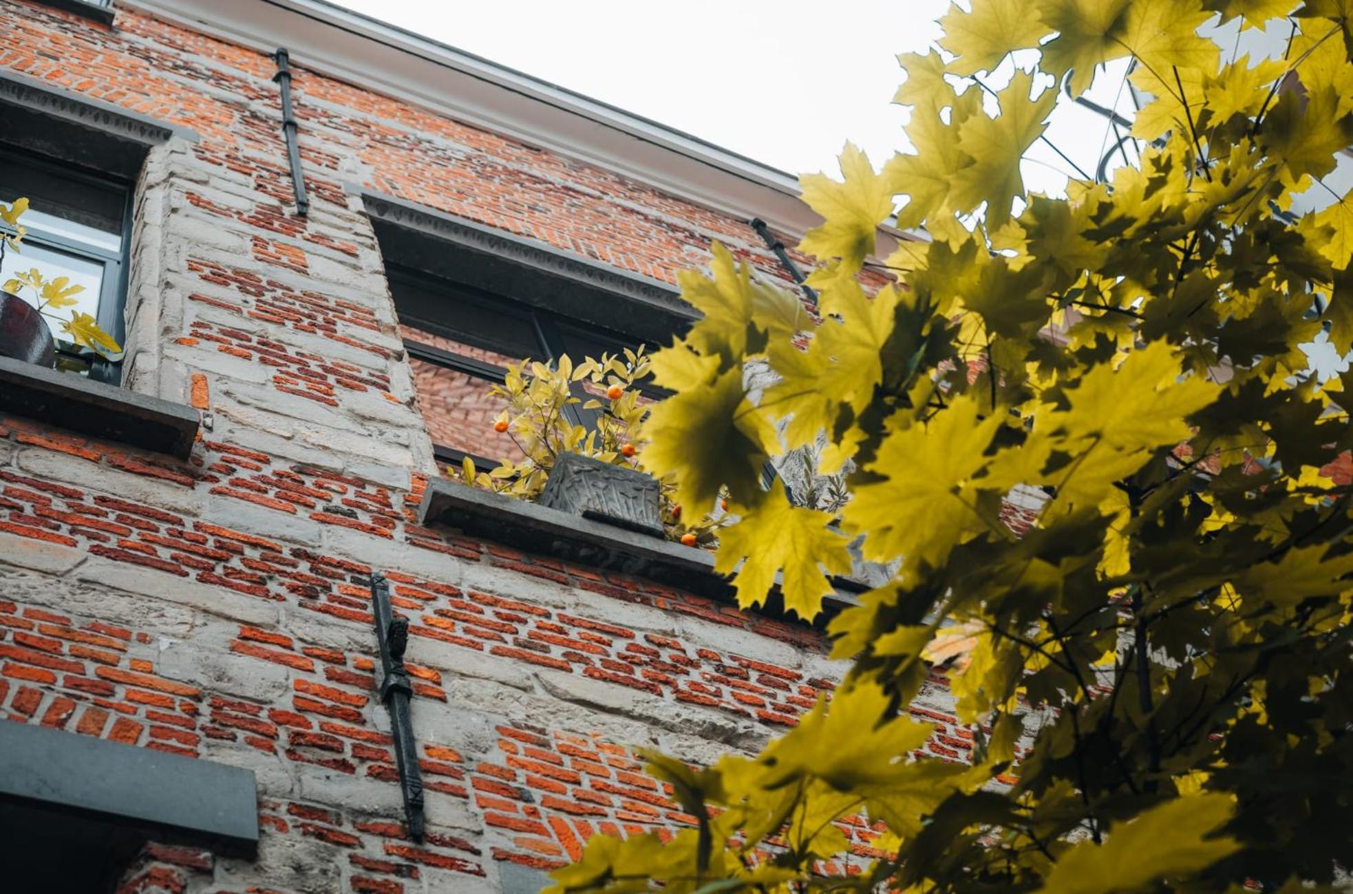Duplex In Historical Centre With Private Courtyard Apartment Anvers Exterior foto